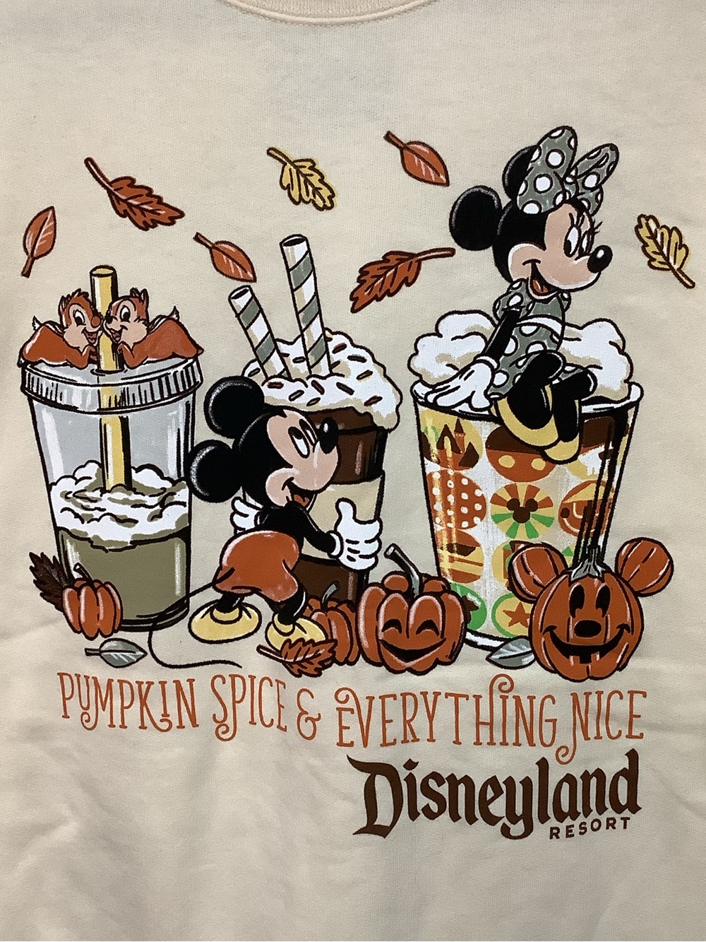 Disneyland Resort ~ Halloween ~ Pumpkin Spice & Everything Nice ~ Sweatshirt M-L - Picture 6 of 16